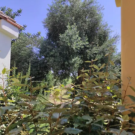 Πανσιόν Sa Teria Village 4*