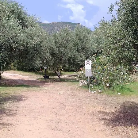 ゲストハウス Sa Teria Village Tertenìa