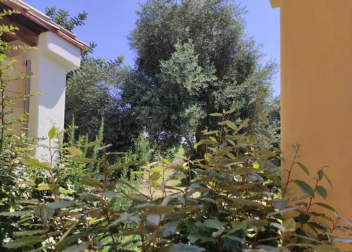 Gasthof Sa Teria Village 4*