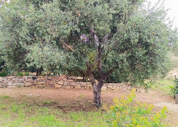 Sa Teria Village 4* Tertenìa