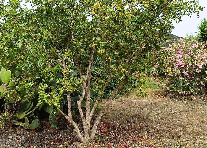 Sa Teria Village Tertenìa