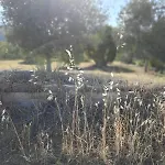 Penzion Sa Teria Village