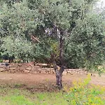 Sa Teria Village 4* Tertenìa
