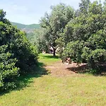 بيت ضيافة Sa Teria Village