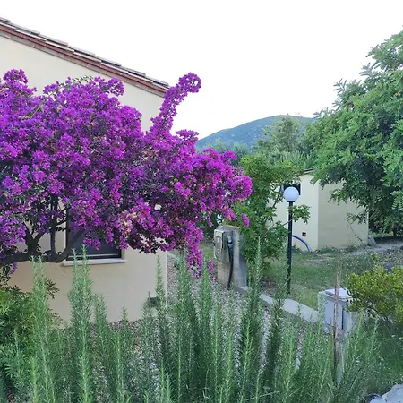 Sa Teria Village - - Affittacamere Tertenìa