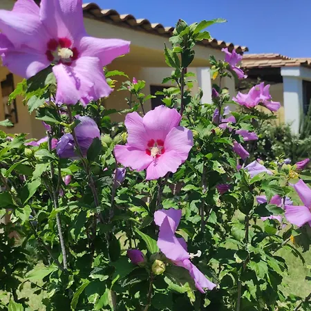 Sa Teria Village Tertenìa