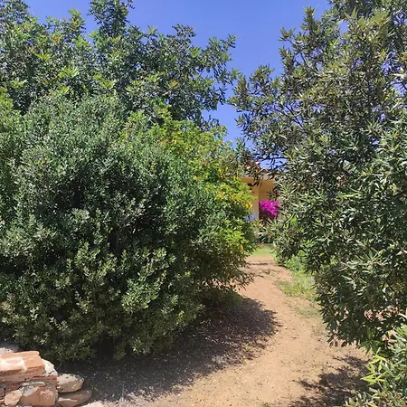 Sa Teria Village Tertenìa