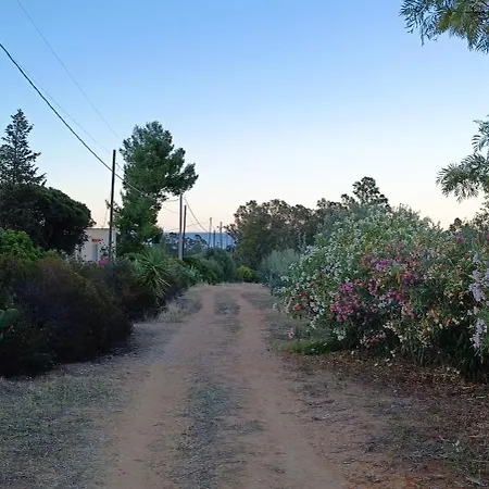 Sa Teria Village Pensión 4*