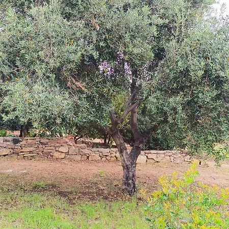 Sa Teria Village * Tertenia