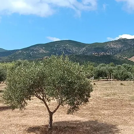 Sa Teria Village - - Tertenìa