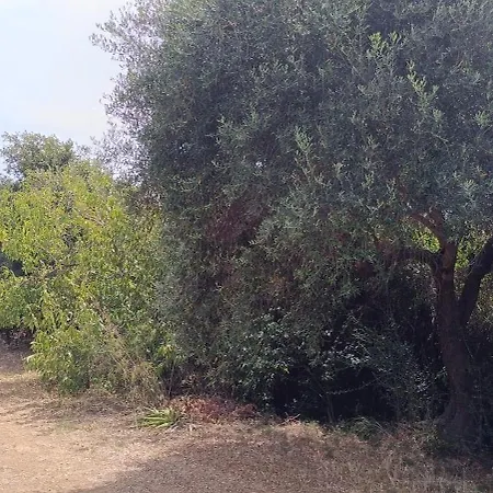 Gæstehus Sa Teria Village
