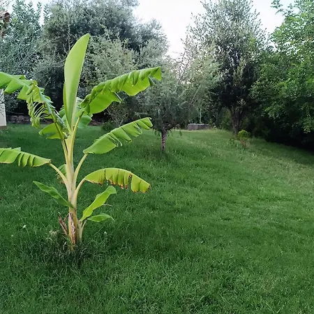 Gæstehus Sa Teria Village