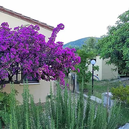 Casa de hóspedes Sa Teria Village
