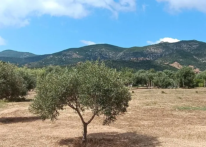 Sa Teria Village Tertenìa